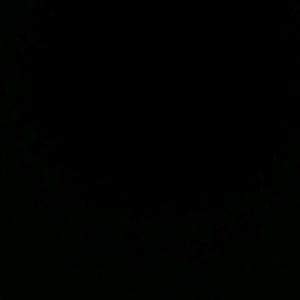 Meet your Posher, Devin